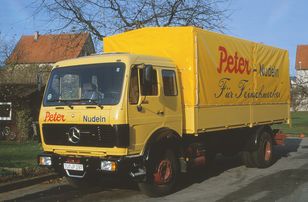 Yellow truck with the words ‘Peter’ and ‘Noodles’ on the side, parked on a street in front of trees and houses