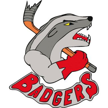 Logo RVS Badgers