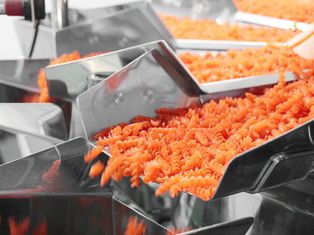 Rote Linsen Nudeln werden auf einem Förderband in einer Produktionsanlage verarbeitet