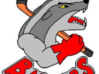 Logo "RVS Badgers"